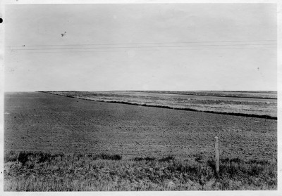 Strip Farming