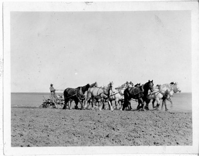 Plowing - Twelve Horses