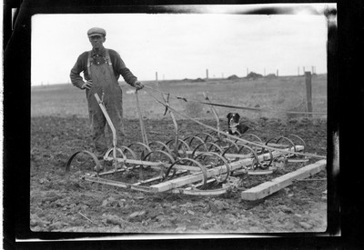 Spring Tooth Harrow