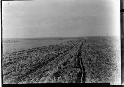 Stubble Field