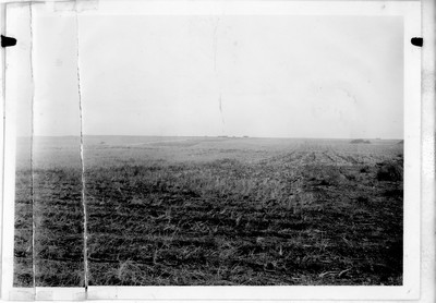 Stubble Field