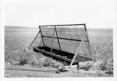 Grasshopper Catcher