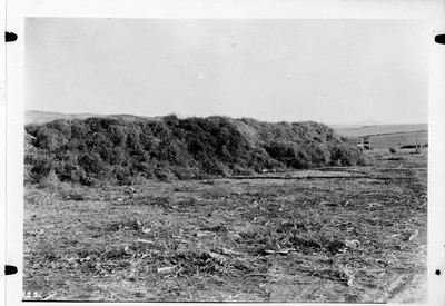 Haystacks