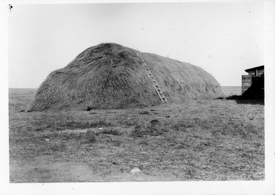 Rye Hay