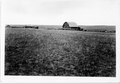 Farmstead