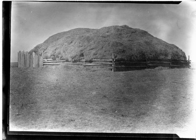 Straw Stacks