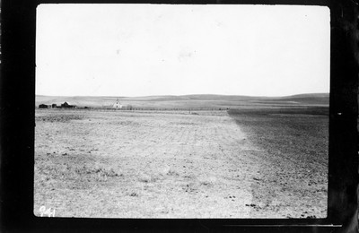Corn Field