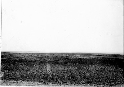 Fallow Ground