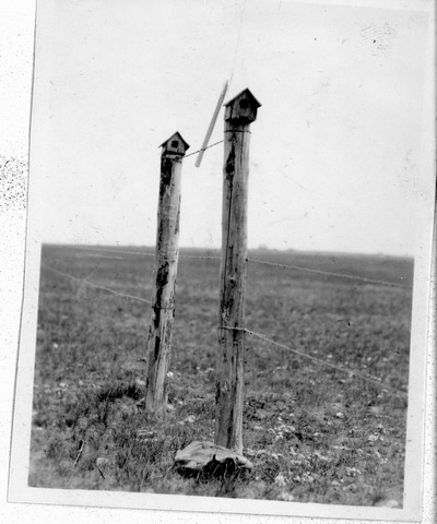Bluebird Houses