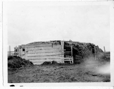 Cattle Shed