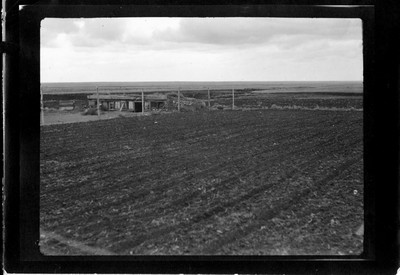Chicken House