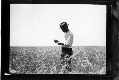 Rye Field