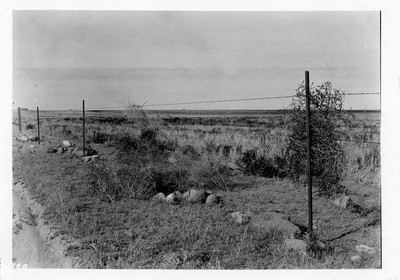 Fence