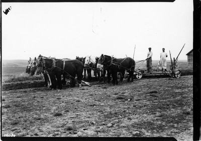 Plowing - Summer Fallow
