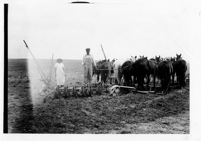 Plowing - Summer Fallow