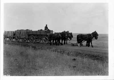 Hauling Wheat