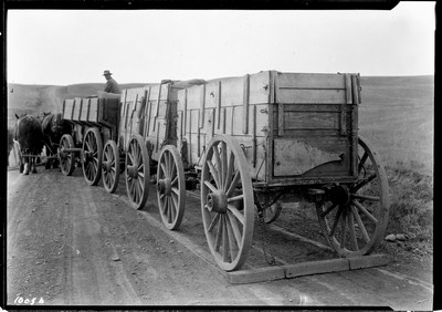 Hauling Wheat