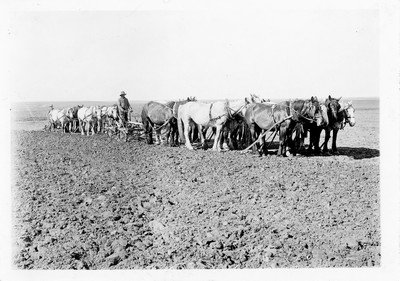 Plowing - Twelve Horses