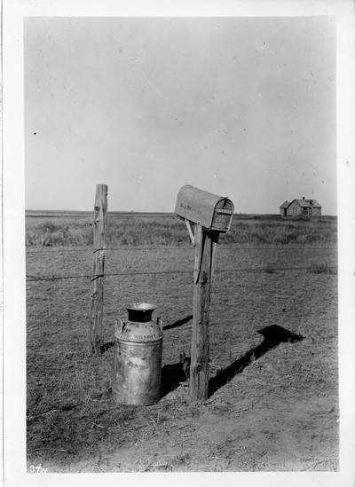 Dry Land Dairying