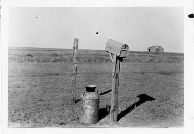 Dry Land Dairying