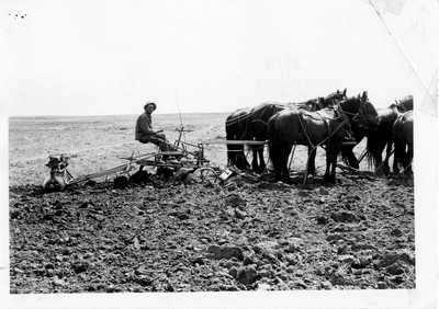 W.S. McNeil
