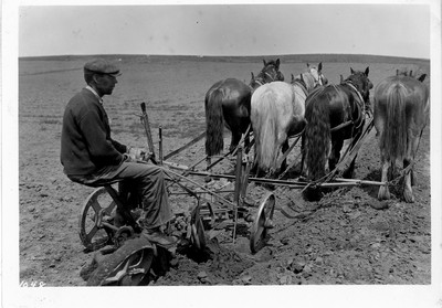 Plowing - Summer Fallow