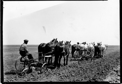 Plowing - Summer Fallow