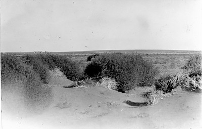 Soil Blowing