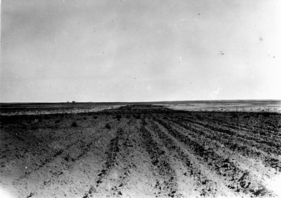 Strip Farming