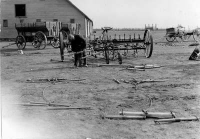 Twelve Horse Team - Duckfoot Cultivator