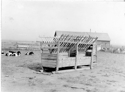 Feed Racks