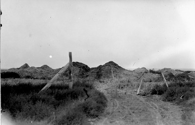 Manure Piles