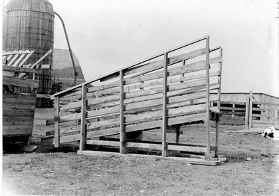 Livestock Chute