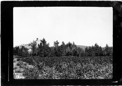 John Nabor Farm
