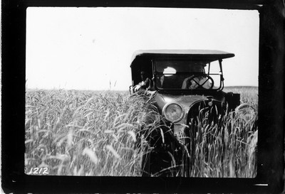 Rye Field