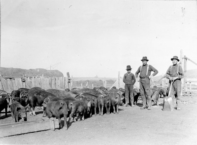 Hutterite Settlement