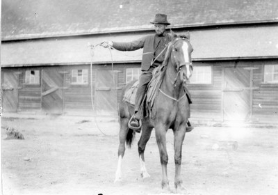 Hutterite Settlement - Horses