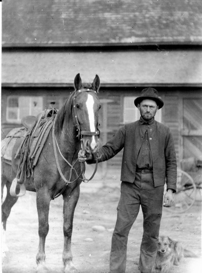 Hutterite Settlement - Horses