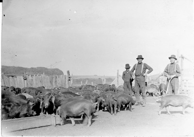 Hutterite Settlement