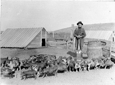 Hutterite Settlement