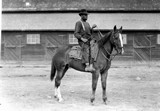 Hutterite Settlement - Horses