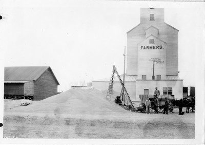 Wheat Piles