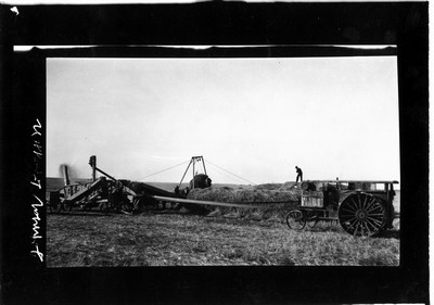 Wheat - Harvesting