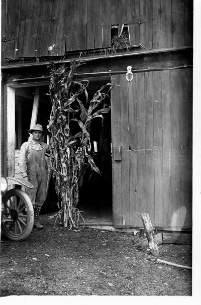 Corn