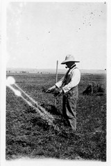 Alfalfa Testing