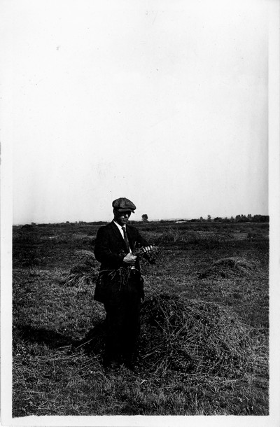Alfalfa Testing