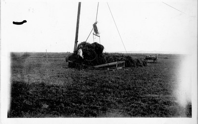 Alfalfa Stacking