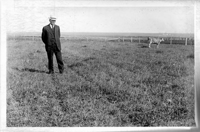 Irrigated Pasture
