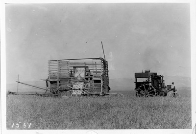 Grain - Harvesting