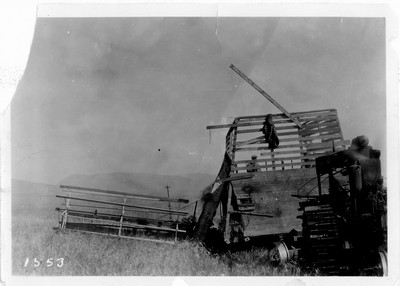 Grain - Harvesting